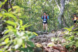 BIB: 
                            <button type="button" onclick="openModal(27695718)" class="btn btn-primary btn-sm float-right btn-popup" data-toggle="modal" data-target=".modal-high-quality">
                        <i class="fas fa-shopping-cart"></i> Add to Cart
                    </button>
                                            <button type="button" onclick="isThisMe(27695718, true)" class="btn btn-success btn-sm float-right btn-popup btn-isme hidden" data-toggle="tooltip" data-placement="bottom" title="นี่คือรูปของคุณใช่ไหม คลิกที่นี่เพื่อเอาเข้าอัลบั้ม">
                        <i class="fas fa-plus"></i> Add to album
                    </button>
                    <button type="button" onclick="isThisMe(27695718, false)" class="btn btn-warning btn-sm float-right btn-popup btn-isnotme hidden">
                        <i class="fas fa-ban"></i> Remove from album
                    </button>